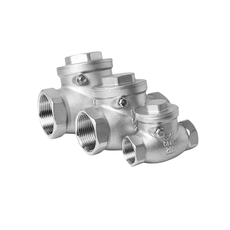 DN50 Stainless Steel 304 Metal Seated Swing Check Valve