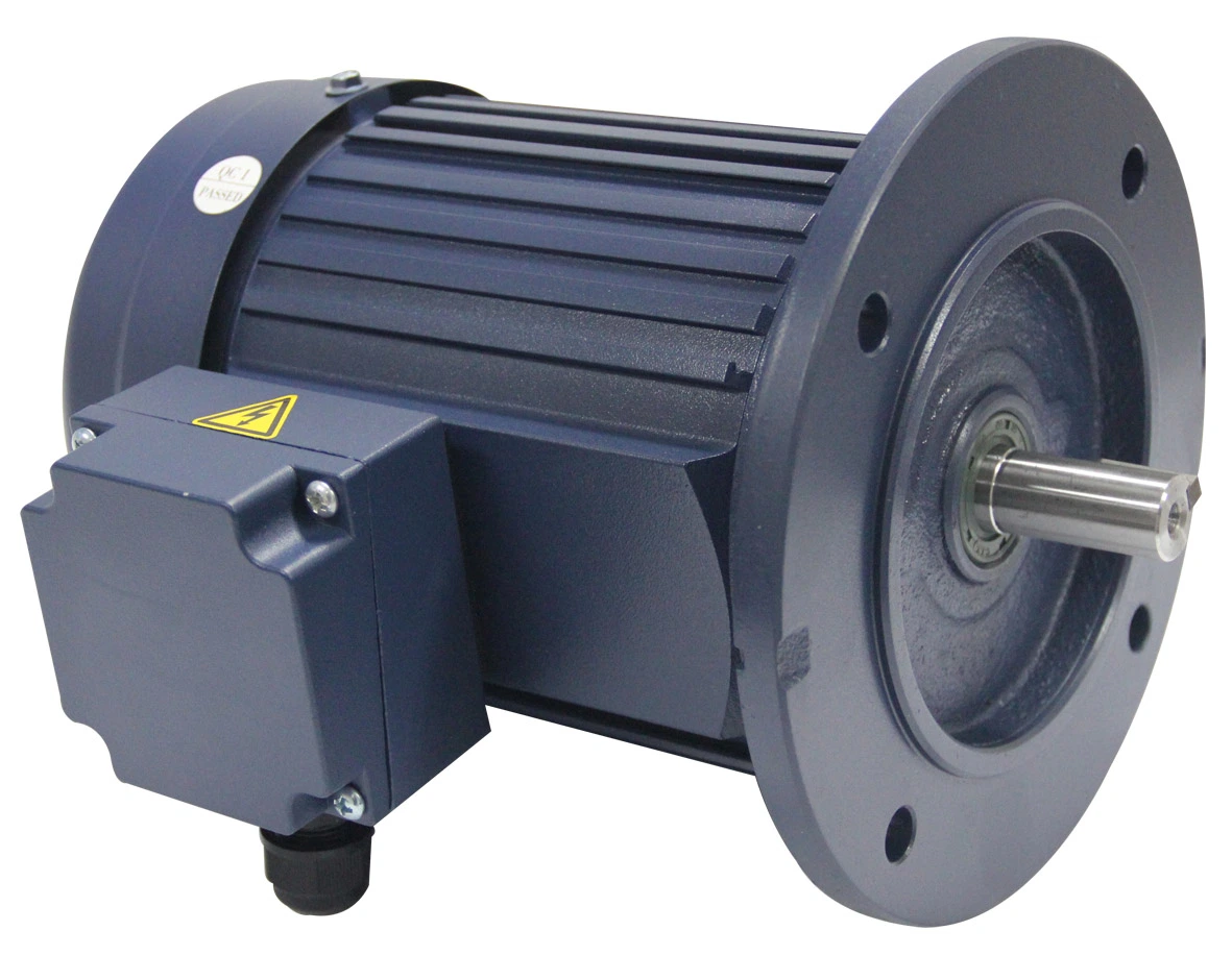 Induction Motors Three Phase Vertical or Horizontal Reducer Motor with Brake