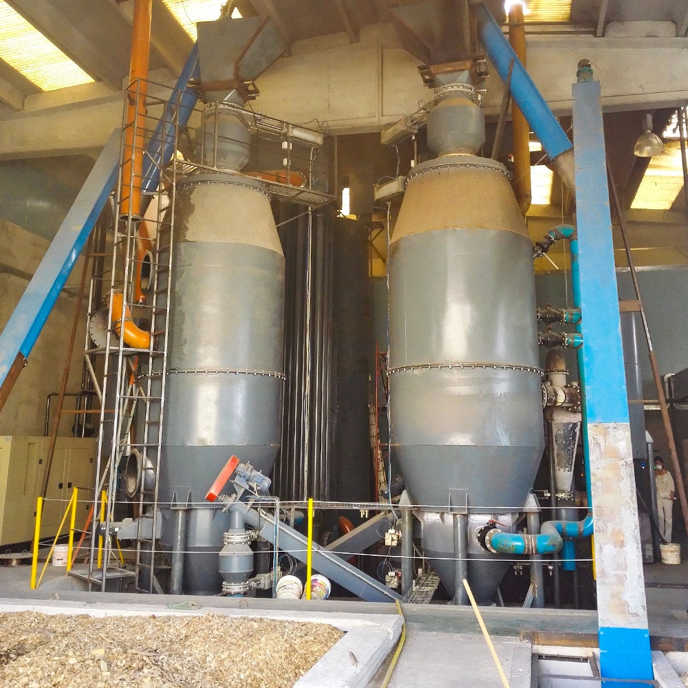 Converting Peanut Shell Into Gas Fuel for Biomass Power Generation