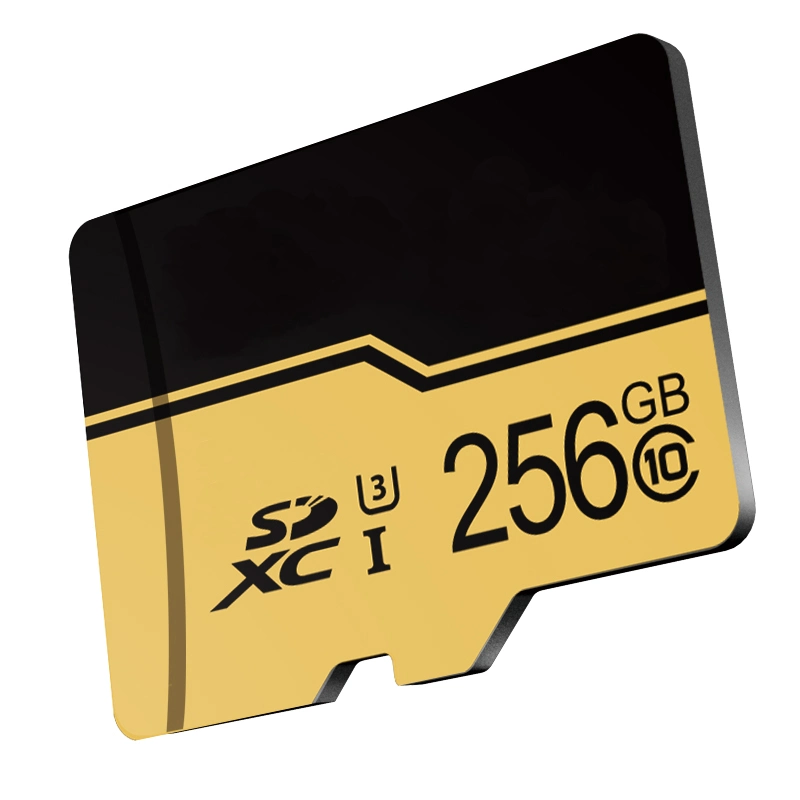 Les cartes mémoire image plus grande à la capacité de la carte Flash de 128 GB TF Logo personnalisé de carte SD 8 Go de 16Go et 32 Go à 64 Go de 128 Go de 256 Go