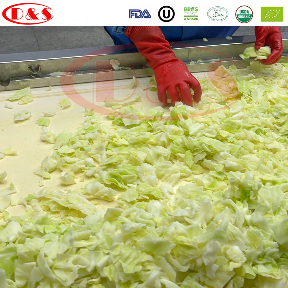 IQF Cabbage Vegetable Frozen Cabbage Slice