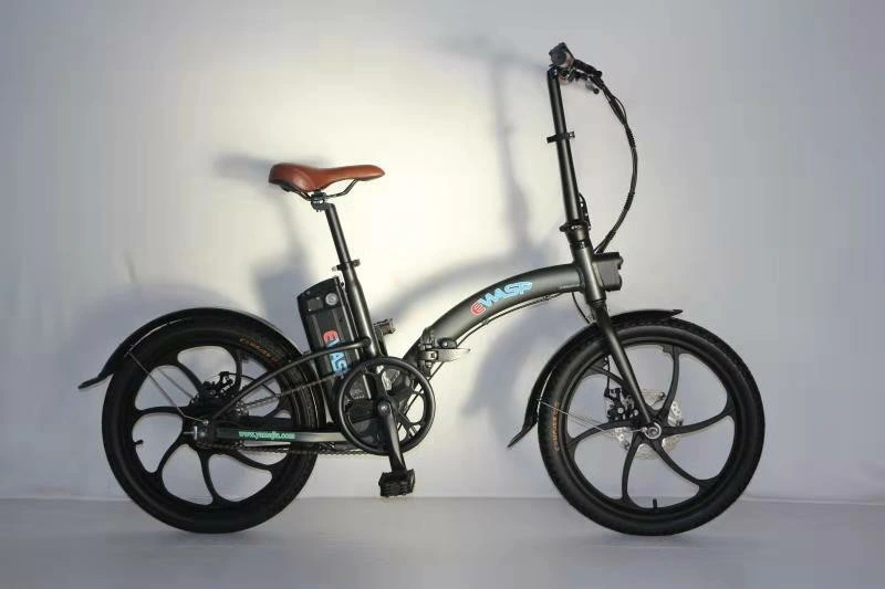 Light Electric Bike Folding China Factory Price Bicycle Exclusive Model 250W Motor