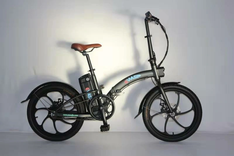 Light Electric Bike Folding Original Factory Price Bicycle Exclusive Model 250W Motor