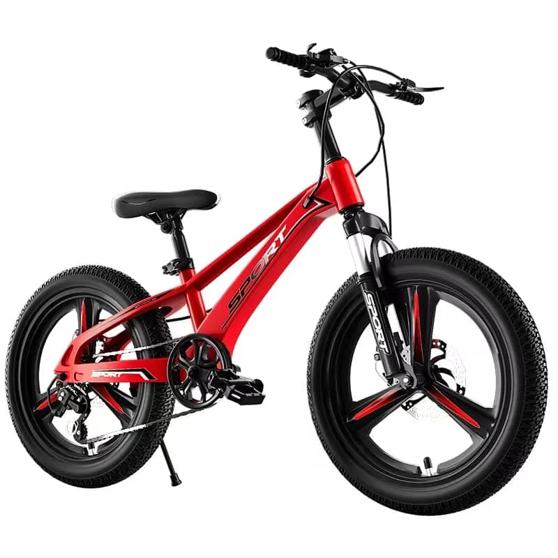 Vélo de montagne pour adultes avec roue intégrée en alliage de magnésium de 20 pouces.