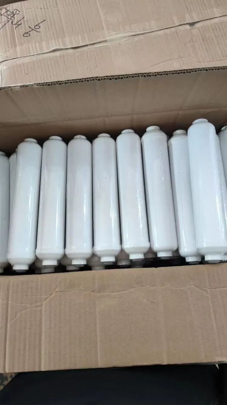 Quick Change Inline Post Carbon RO Water Filter Purifier Parts Price