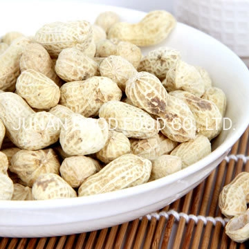 Sell Peanut Shell Export Crop Roasted Peanuts