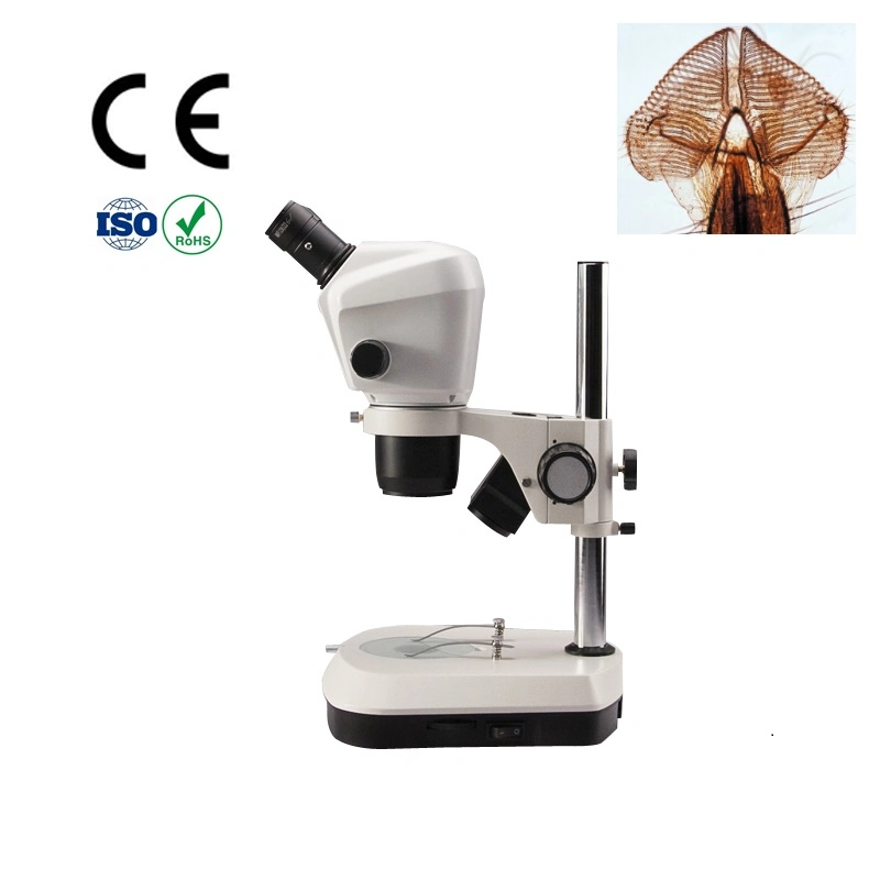 Binocular Stereo Zoom Microscope for 4X-300X (with options)