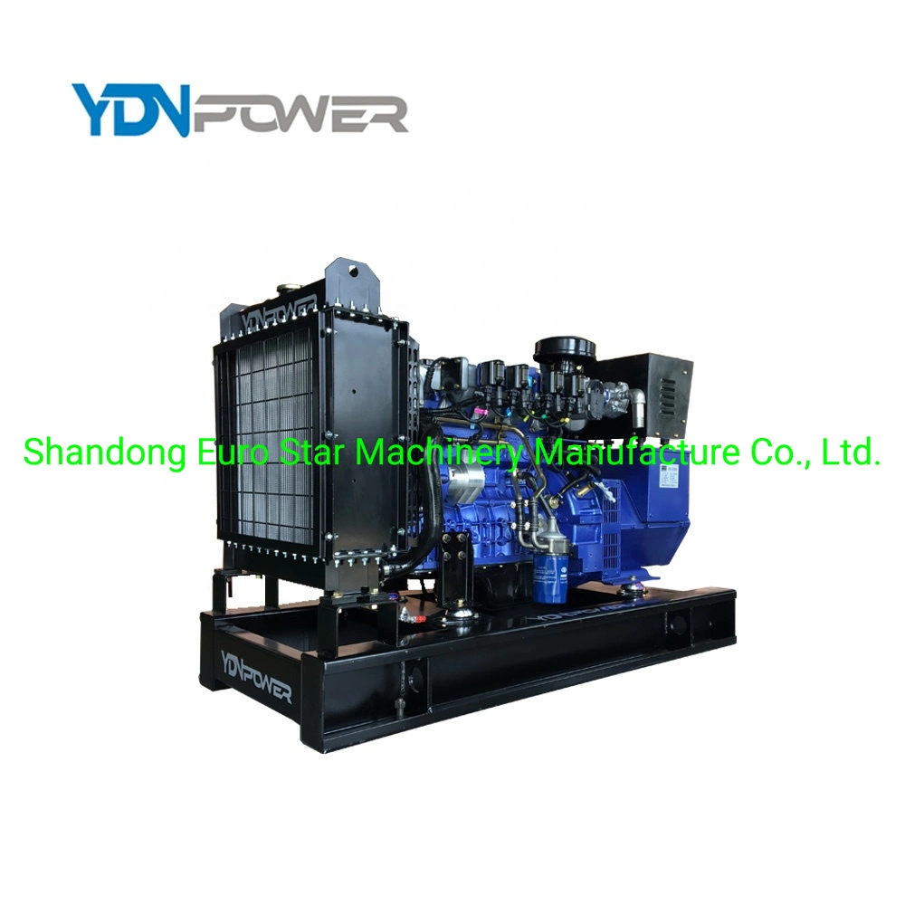 Small Diesel Generator Set Natural Gas Engine for Generator