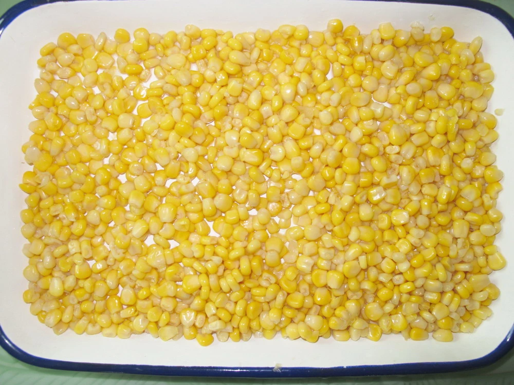 Canned Sweet Corn Whole Grain in Brine 800g