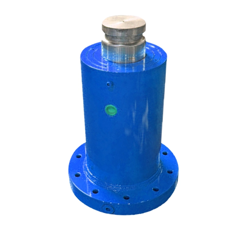 Custom Double Acting Hydraulic Cylinder for Mobile Crane Mobile Equipment Industrial Application Seabed Marine