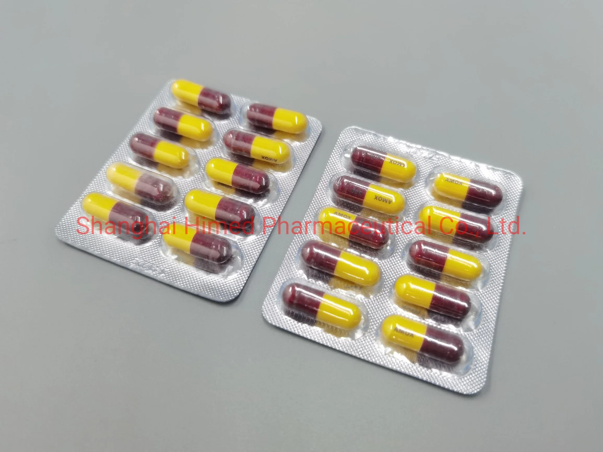 Ampicilina Capusle 250mg/500mg produto farmacêutico
