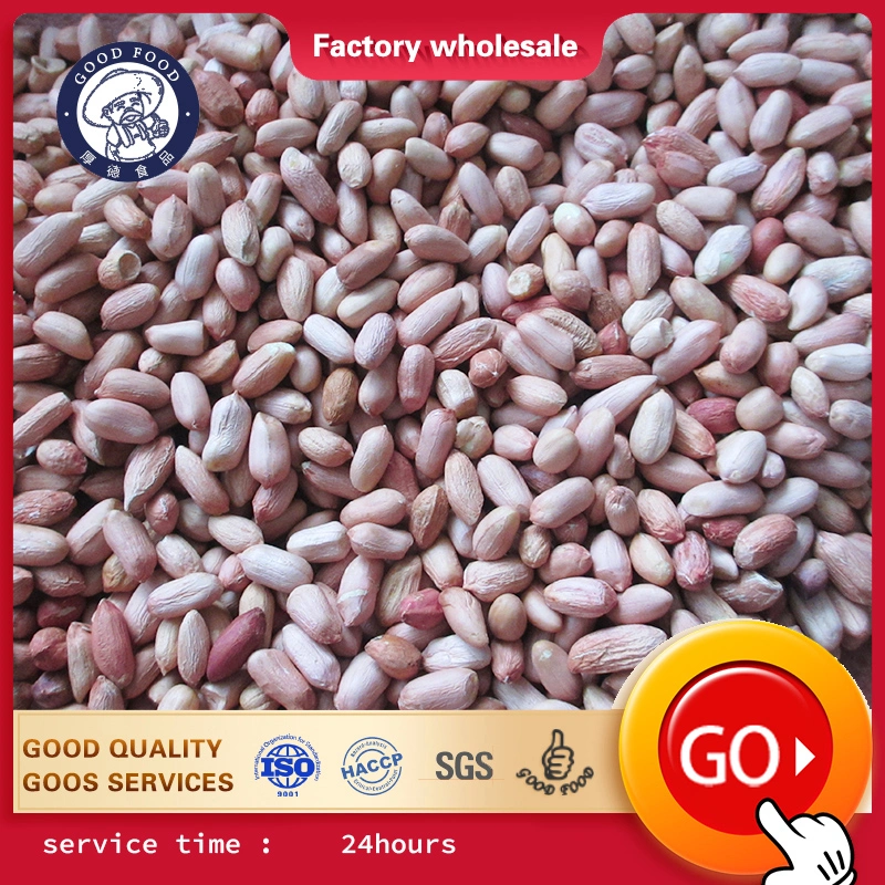 Customized Red Peanut, Blanched Peanut Kernels, Bold Peanuts Blanched Peanuts Raw Kernel Peanuts