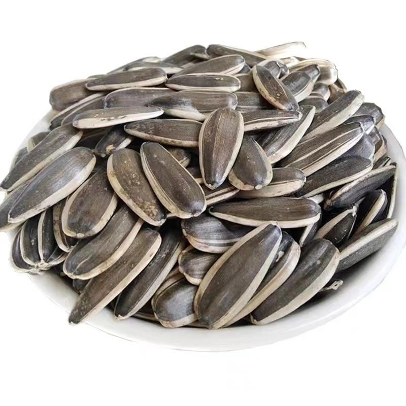 Export Good Quality 363 Raw Sunflower Seeds with Market Price