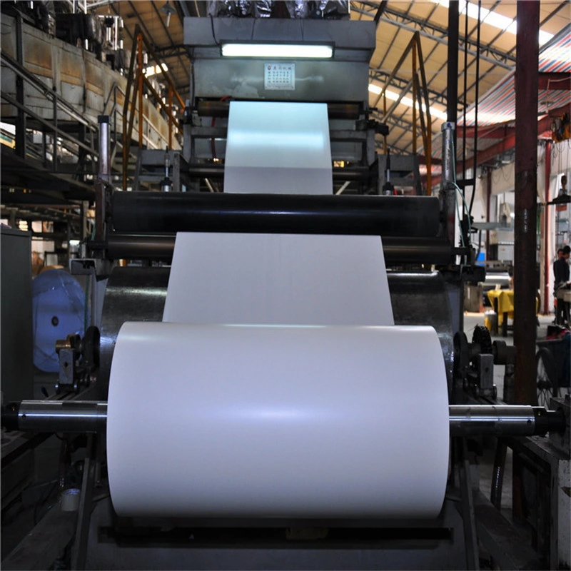 Food Grade Raw Material PE Coated Paper in Roll Cup Paper