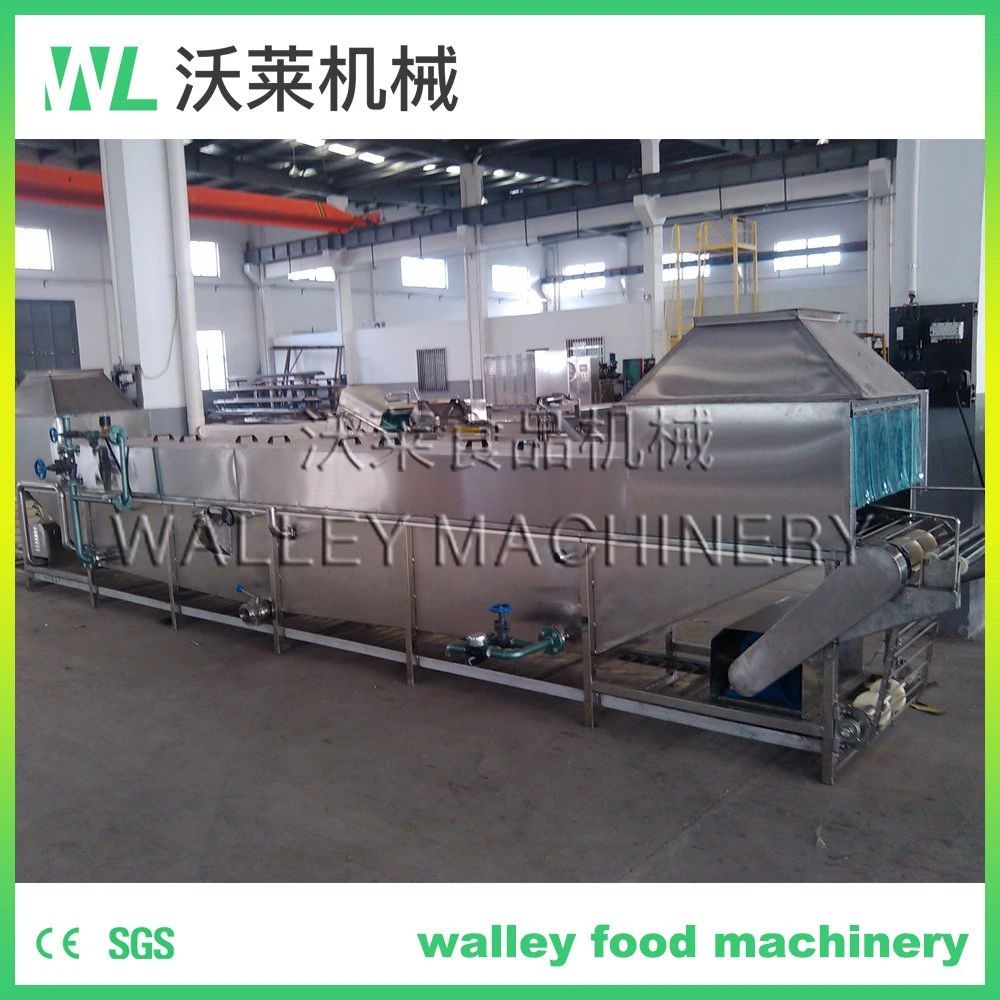 High Rebuy Industrial Automatic Continuous Basket Type Vegetables and Fruits Killing Equipment