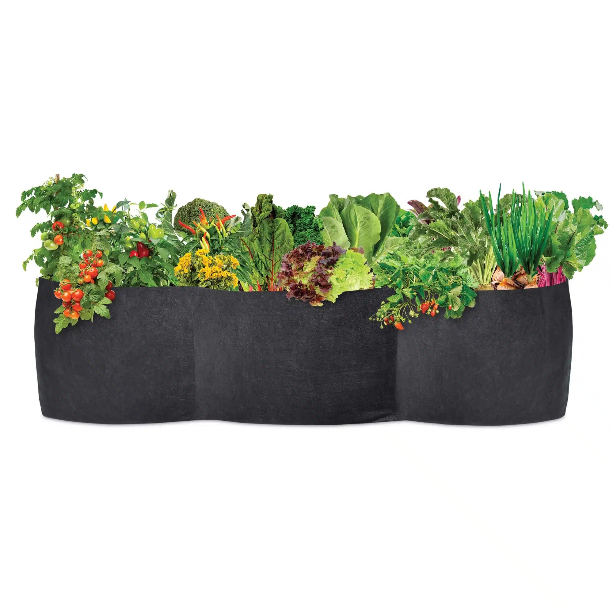 Black Color Aeration Fabric Pot Grow Bed/Raised Vegetable Flower Garden