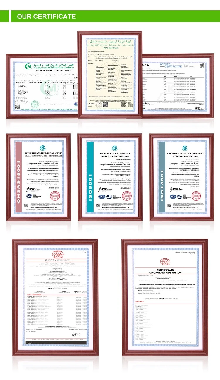 Comext Fssc22000 Factory Price HPLC 10% 80% Ginsenoides American Ginseng استخراج الجذر