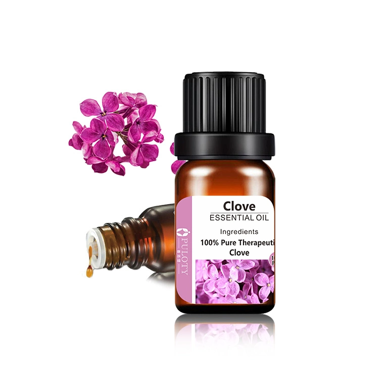 Clove Bud Oil Clove Essential Oil Fragrance Oil for Pharma Additive