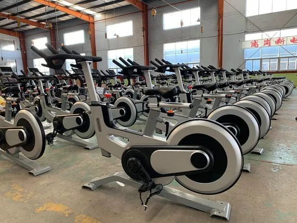 Competitive Price Provide China Manufacturers Home Magnetron Indoor Spinning Bike