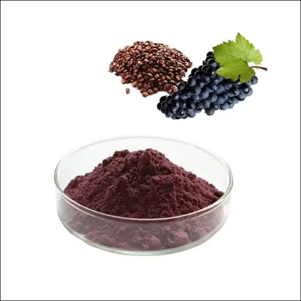 Best Price of Grape Fruits Seed 20: 1 Grape Seed Extract