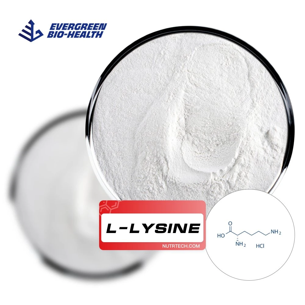 Pure Organic Raw Materials L-Lysine for Poultry Feed