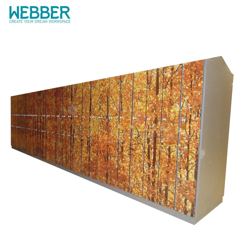 China New Webber Cartons ISO9001: 2000, ISO14001: 2004 Supermarket Locker Furniture