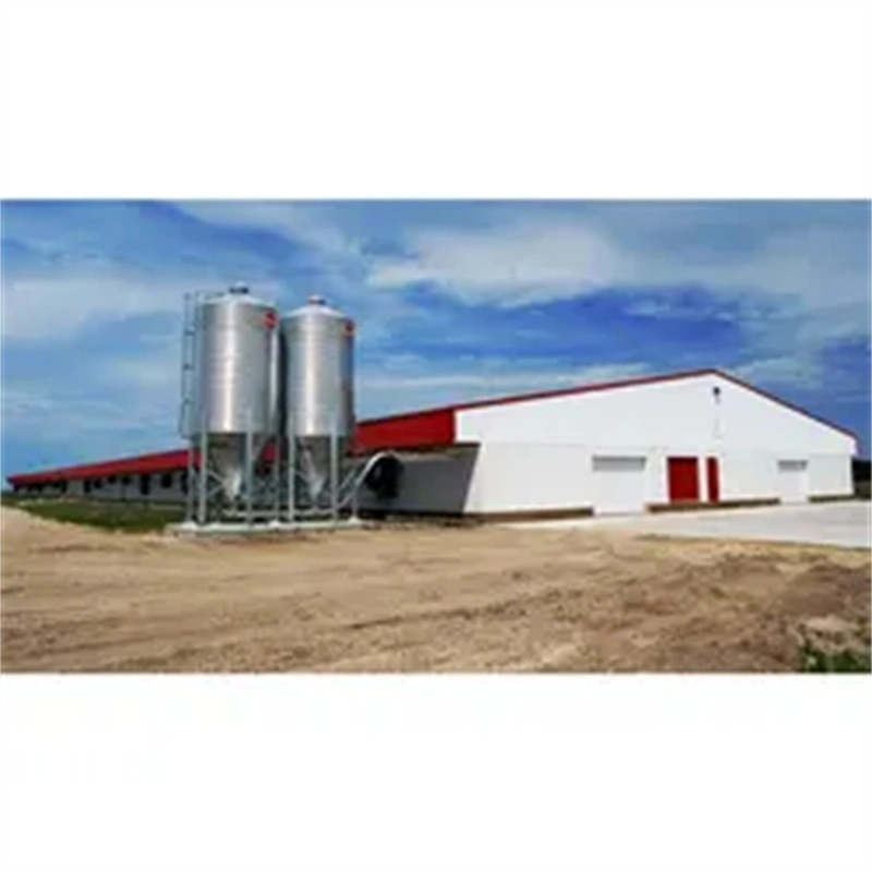 Factory Price Egg Layer Chicken House Henhouse Poultry Farm