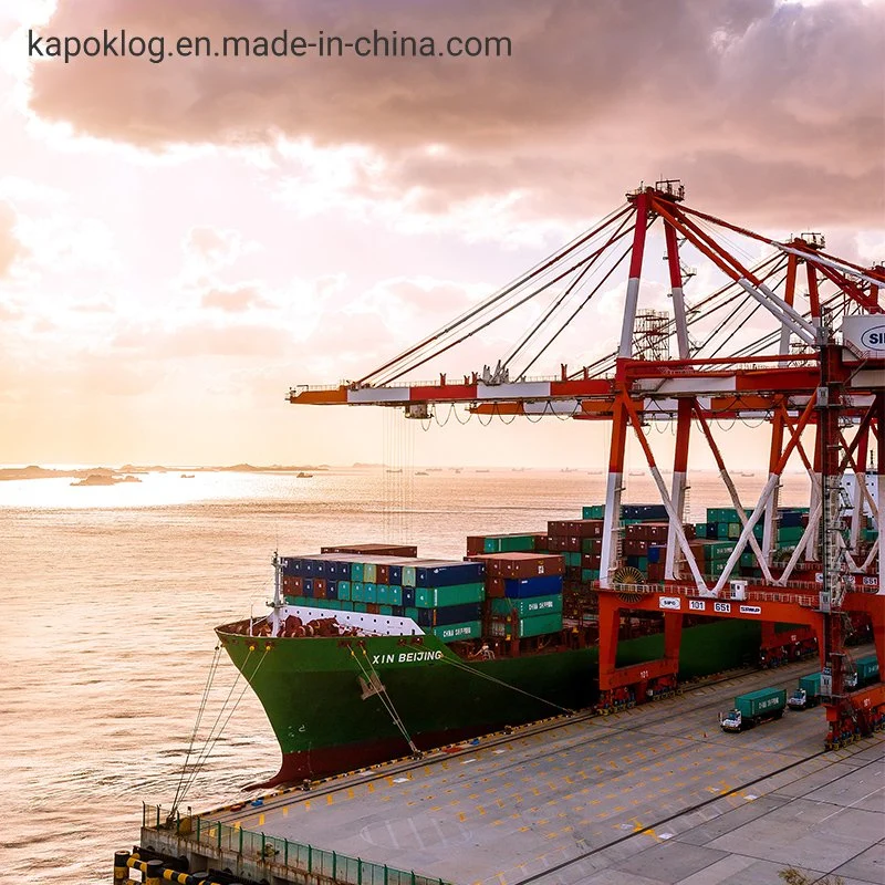 Fast International DDP Door to Door Shipping Cargo Sea Freight China to UK