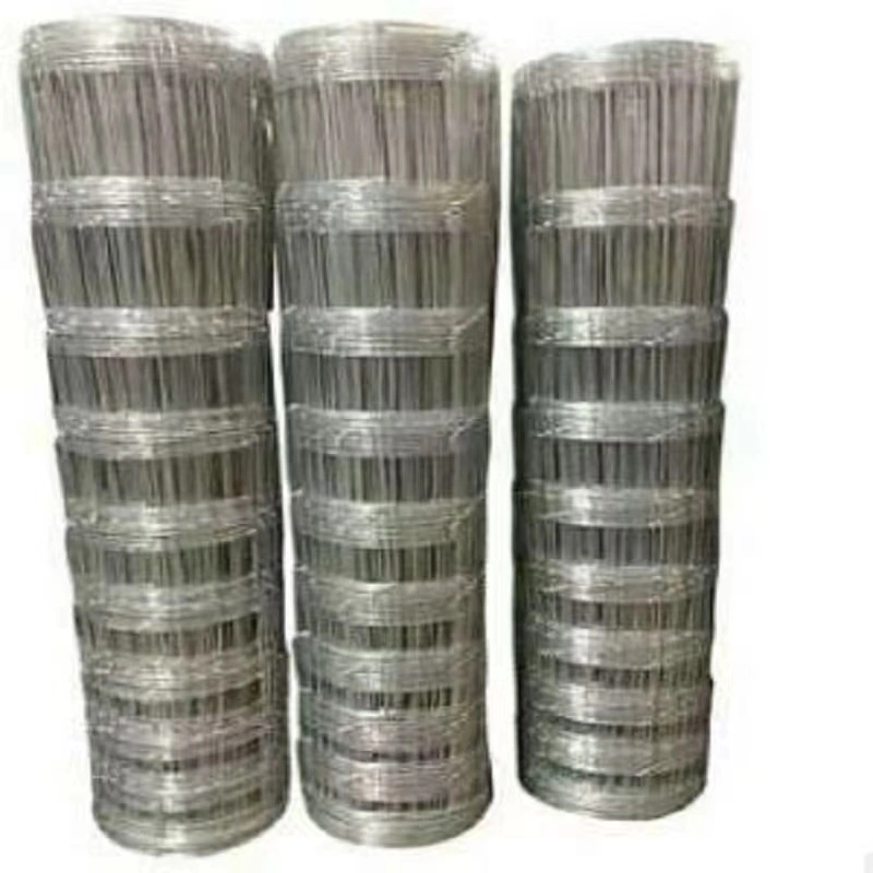 Galvanized or PVC Coated Steel Welded Wire Mesh