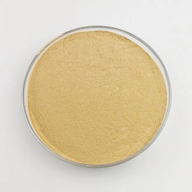 High quality/High cost performance  Animal Feed Grade Inactive Dry Brewers Yeast Protein Powder for Poultry Brewers Yeast