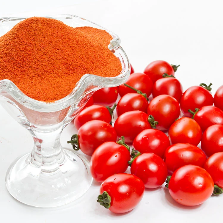 Polvo vegetal al por mayor fabricante de tomate orgánico en polvo, con el mejor precio