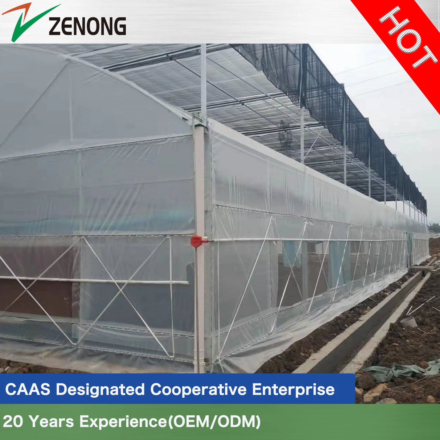 Fácil instalación tradicional China Film Greenhouse con alta calidad para Agricultura