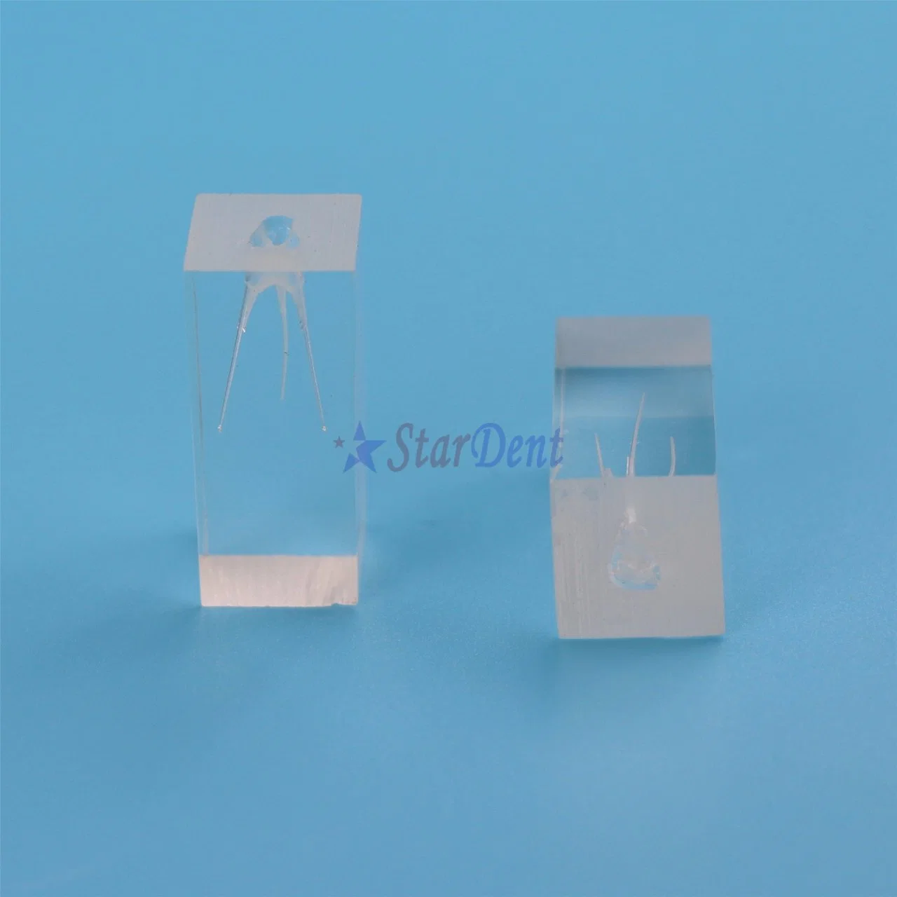 Popular Transparent Resin Endo Training Block 3 Root Canals Model for Teaching Use