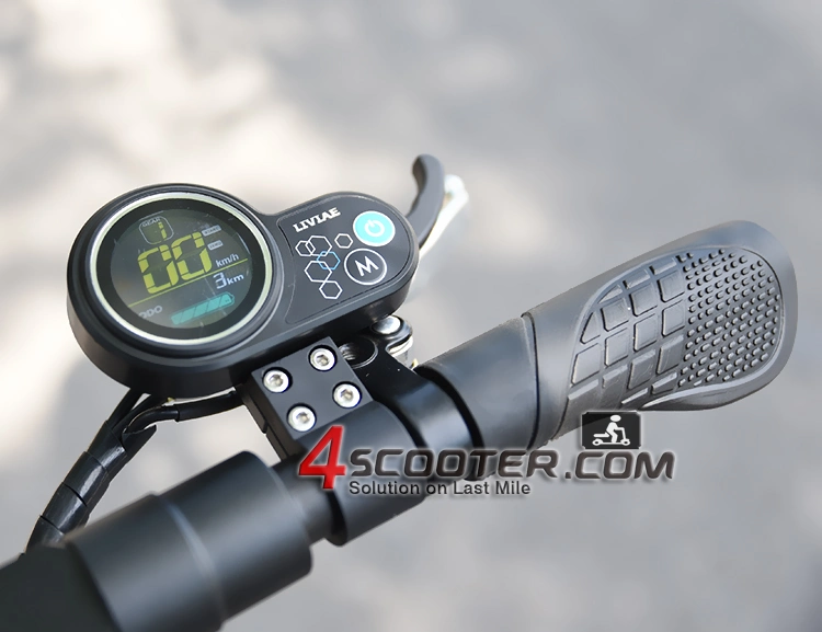 E Scooters 48V Compartir eléctrico Moto Hot Vender portátil fácil Plegable China Scooter eléctrico S Max 25km/H