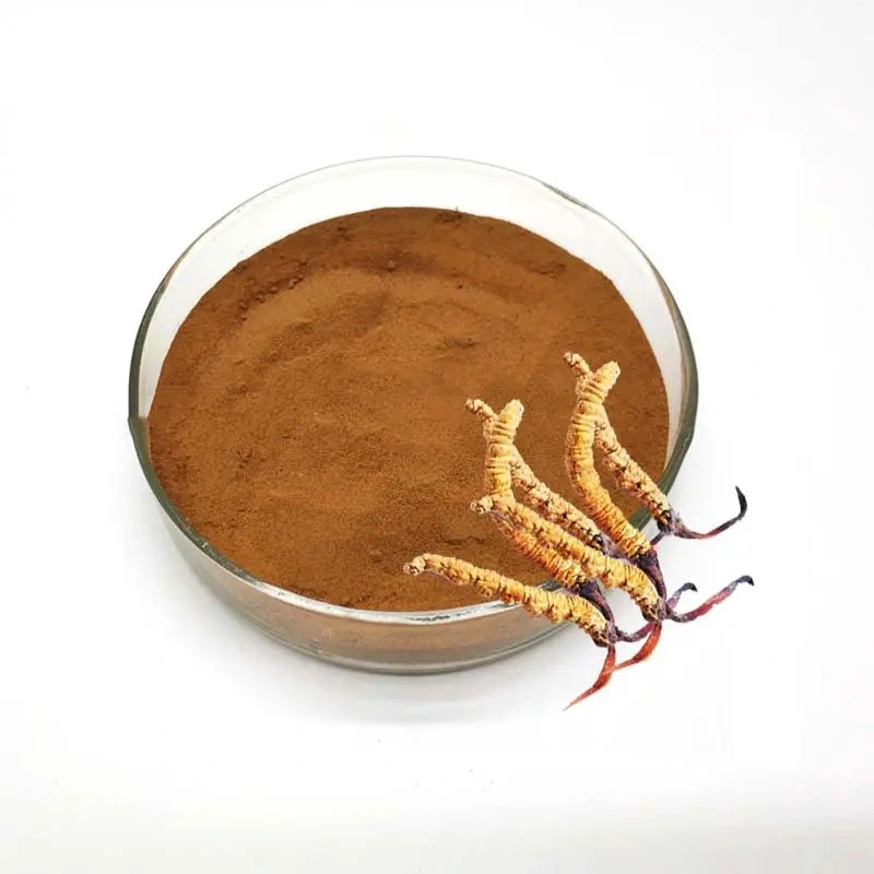 Fabricant approvisionnement Cordyceps extrait de Sinensis extrait de ginseng