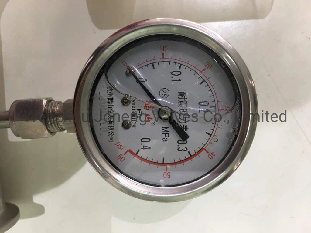 Stainless Steel Sanitary Male Connection Diaphragm Pressure Gauge