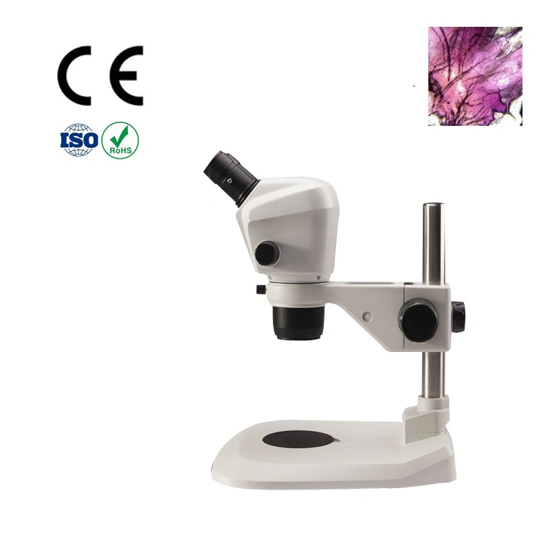 Sz Series Standard Magnification 7X-45X Zoom Stereo Microscope (CE)