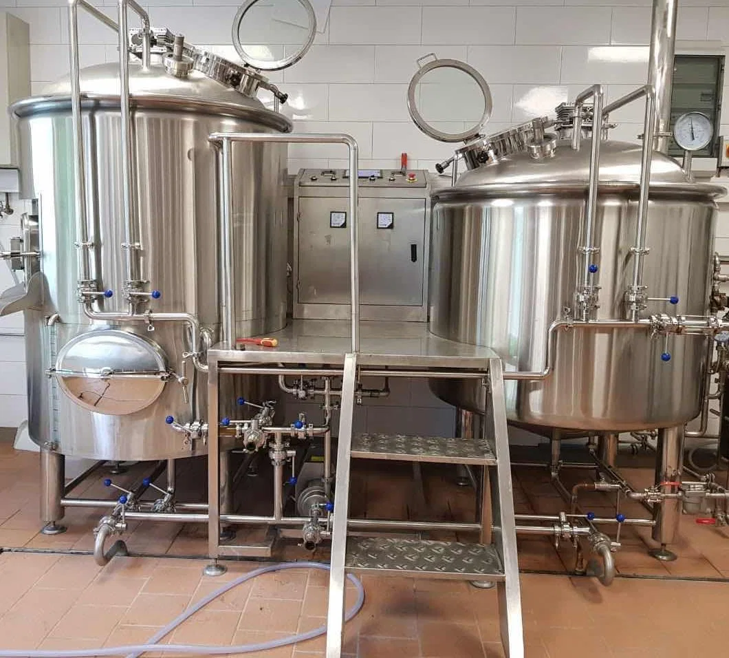 Hot Sales 1000L Beer Brewing Equipment 10barrels Stainless Steel Fermenter Tanks