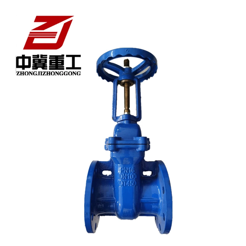 Ductile Iron Rising Stem Brass Seated Soft Seal Gate Valve