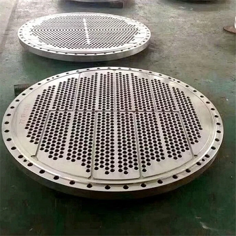 Forged Clad Tube Sheet Forging Discs and Baffel Plate for Heat Exchanger