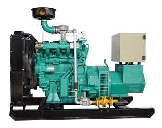 80kw Biogas Generator Set