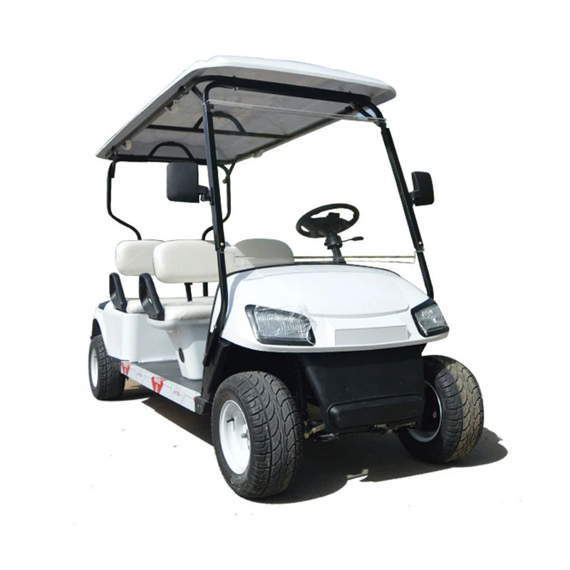 Best Choice of Electric Mini Golf Cart Made in China