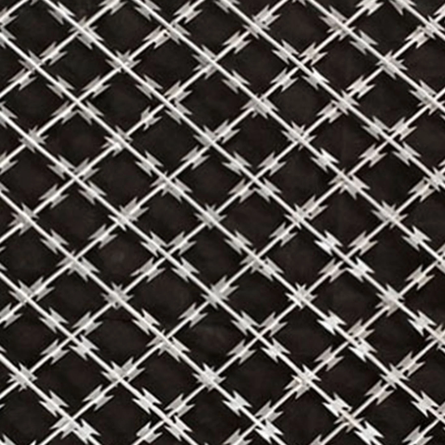 Stainless Steel Hot Dipped Galvanized Concertina Razor Blade Barbed Wire Mesh Fence