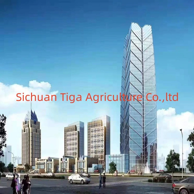 China Building Quality Assured Construction Space Structure Design Steel Frame Structure Agriculture Greenhouse