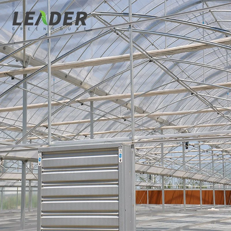 Автоматическое лишение света БлэкOut Greenhouse