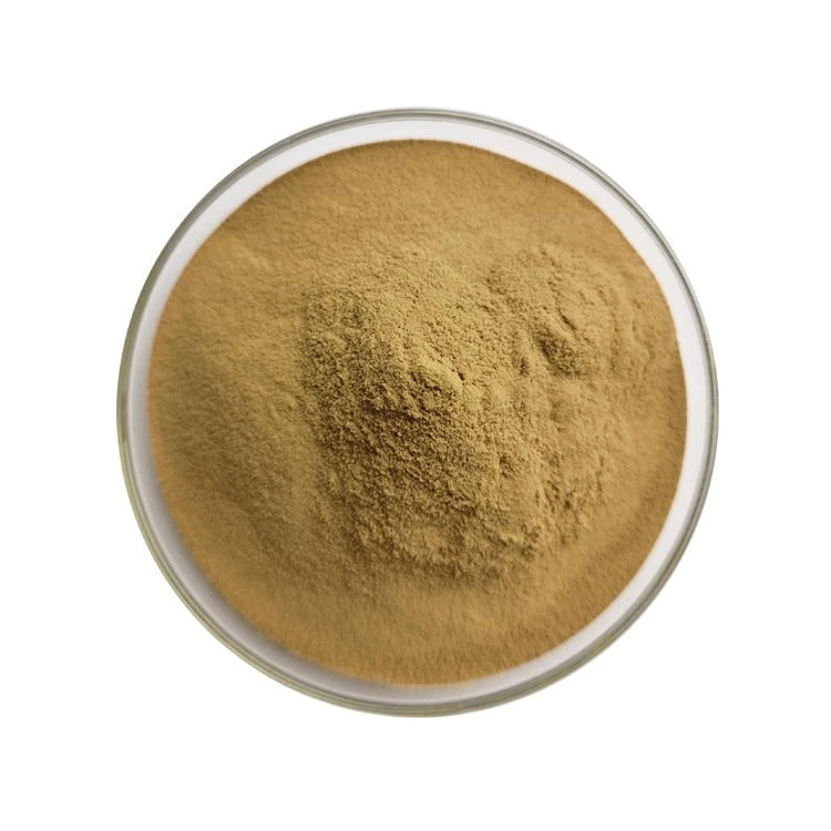 Grifola Umbellate Extract 20% Polysaccharides for Funtional Food
