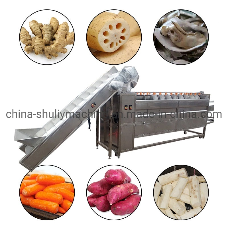 Les fruits de légumes frais Industriel Machines de nettoyage à sec pour la vente de la machine à laver de dates