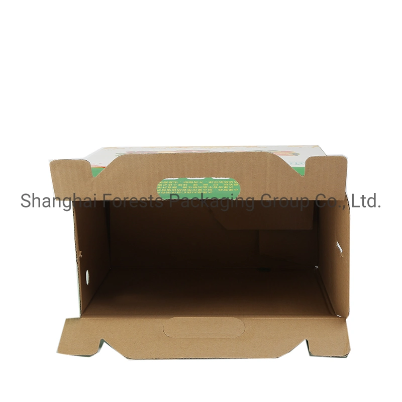 Custom Printing Wholesale/Supplier Food Fruit Vegetables Gift Shipping Box Paper Box