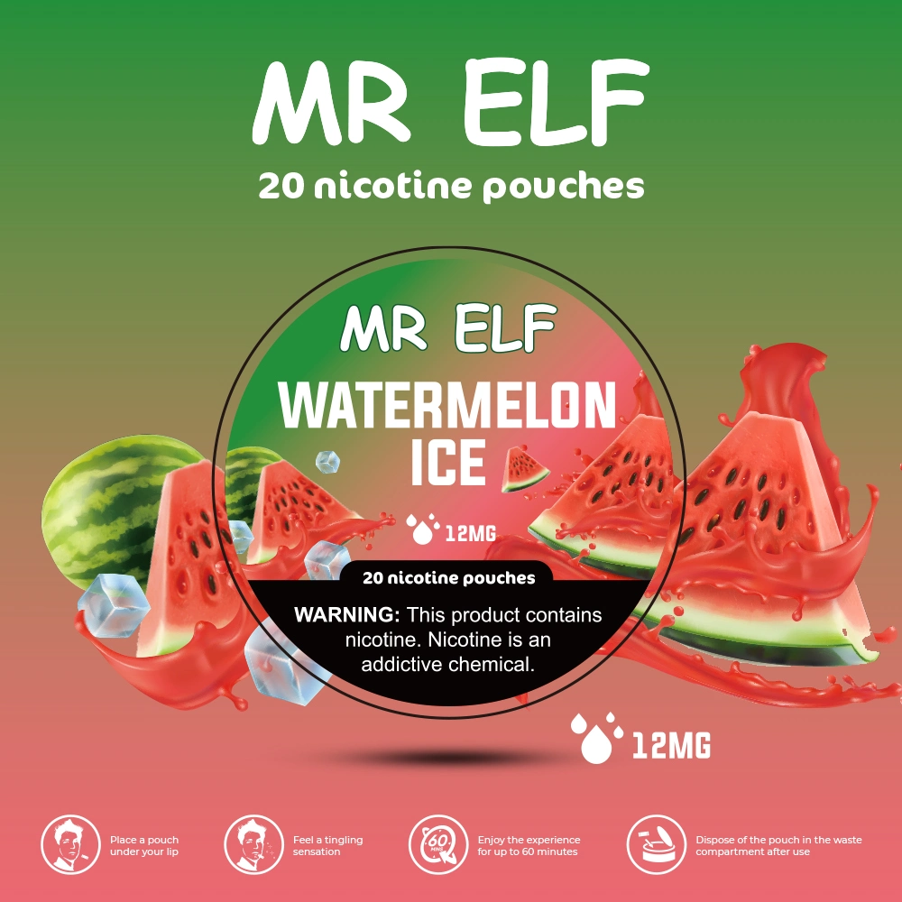 Meilleures ventes de tabac sans nicotine Pouch 12mg MR Elf sans fumée Sachets de nicotine Snus 20 paquets vs tabac sans fumée grizzli