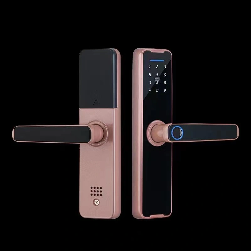 Entrée sans clé Tuya Smart WiFi Lock biométrique empreinte digitale Code numérique Application Smart Life, serrure de porte en copropriété pour Smart Home Works Avec Alexa Google Home Villa